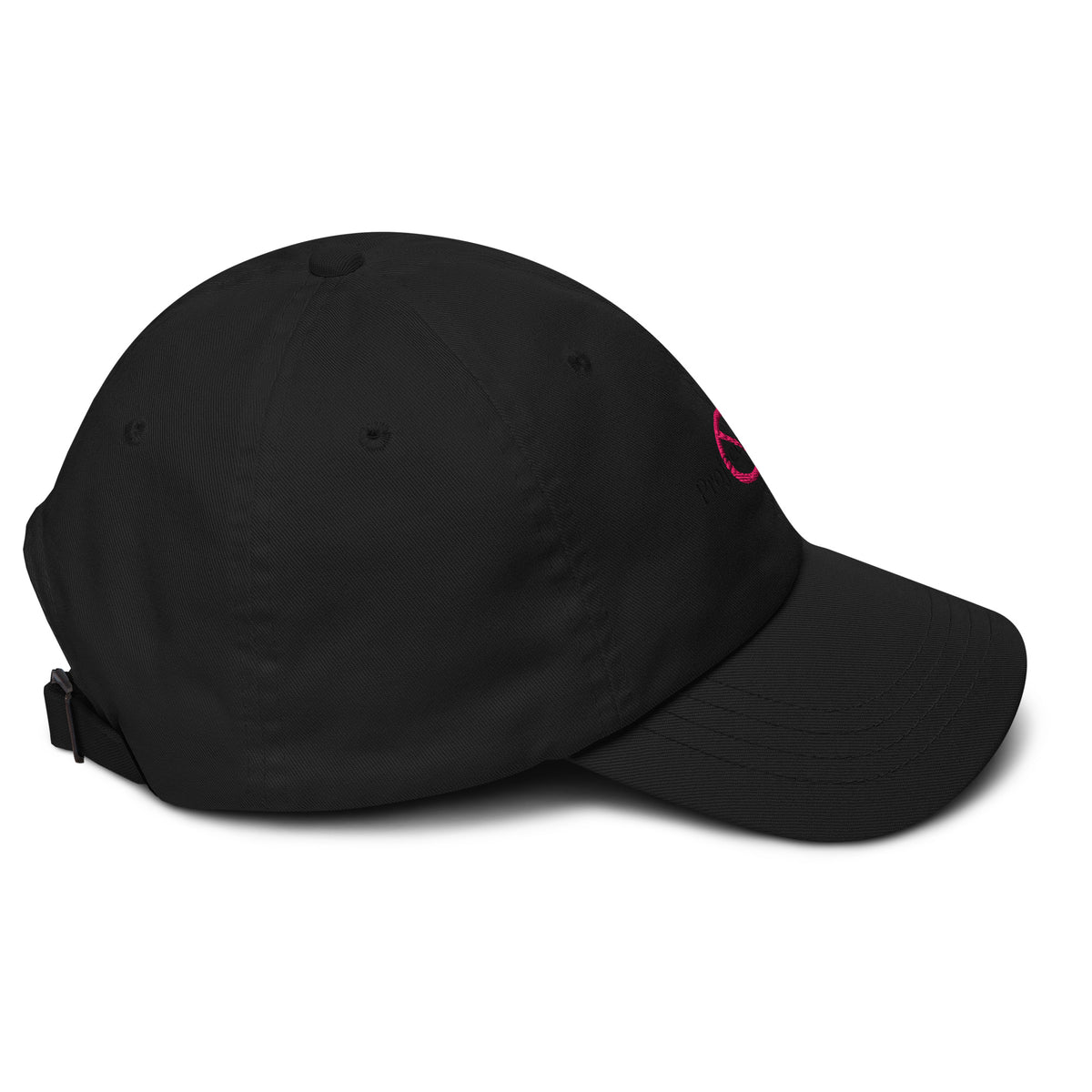 Project 2025 dad hat with embroidered logo – multiple colors – DETOUR.STORE