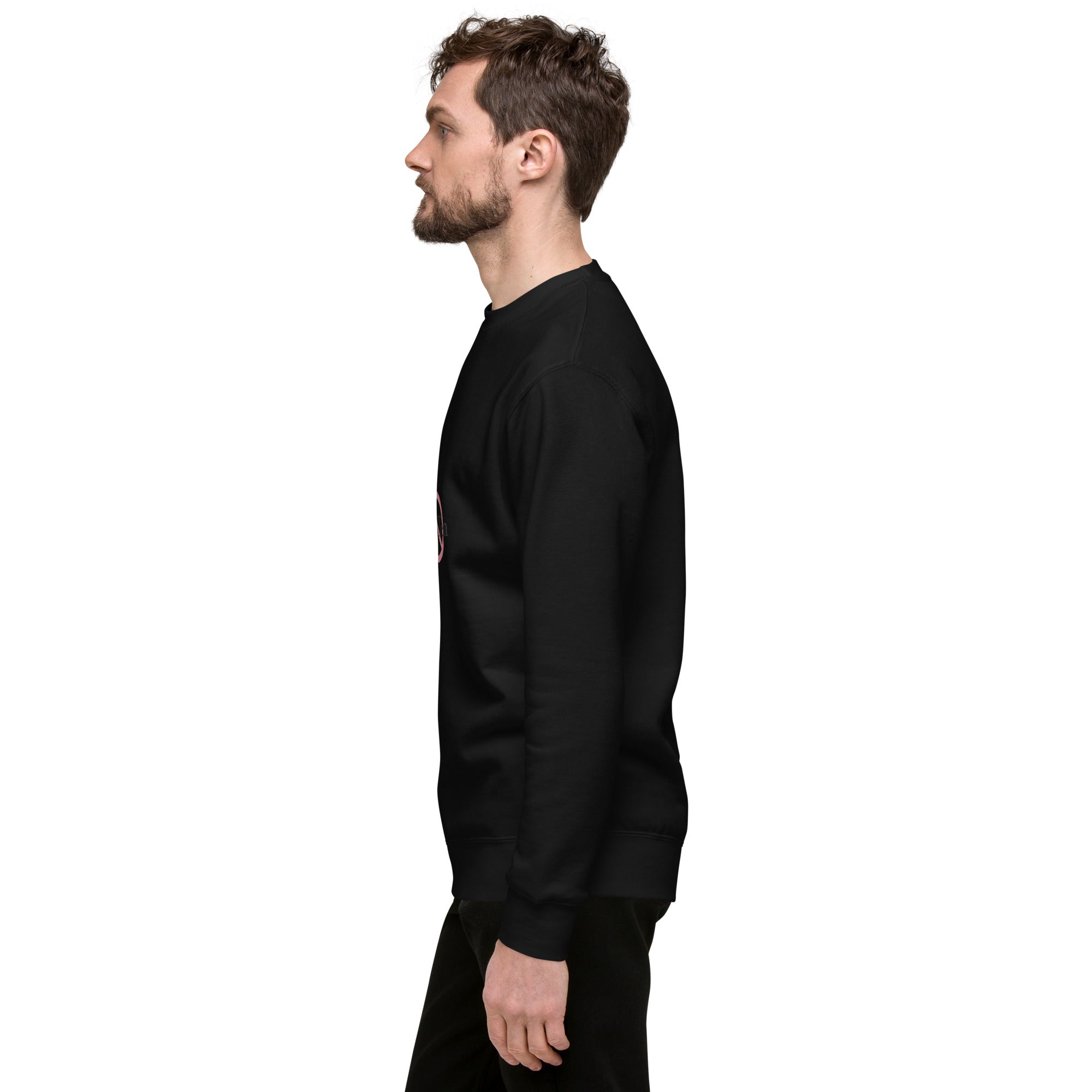 Third Term unisex premium sweatshirt with printed logo – multiple colors – DETOUR.STORE
