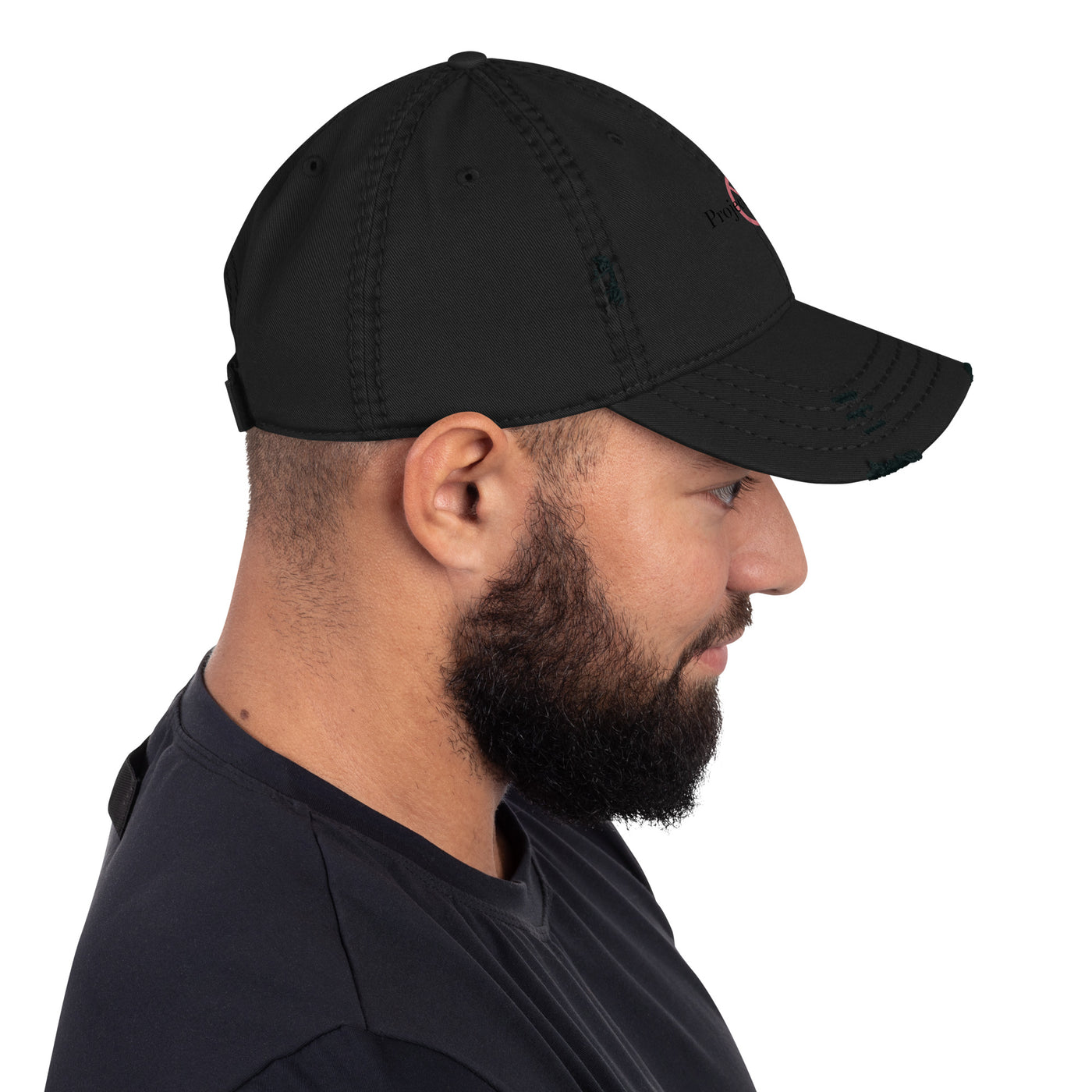 Project 2025 distressed dad hat with embroidered logo – multiple colors – DETOUR.STORE