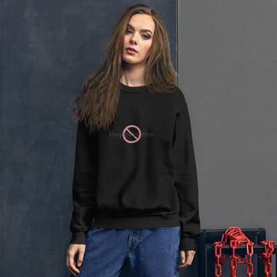 Project 2025 unisex sweatshirt with printed logo – multiple colors – DETOUR.STORE