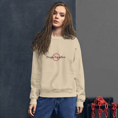 Project 2025 unisex sweatshirt with printed logo – multiple colors – DETOUR.STORE