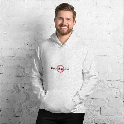 Male model wearing Project 2025 unisex hoodie with printed logo – multiple colors – DETOUR.STORE