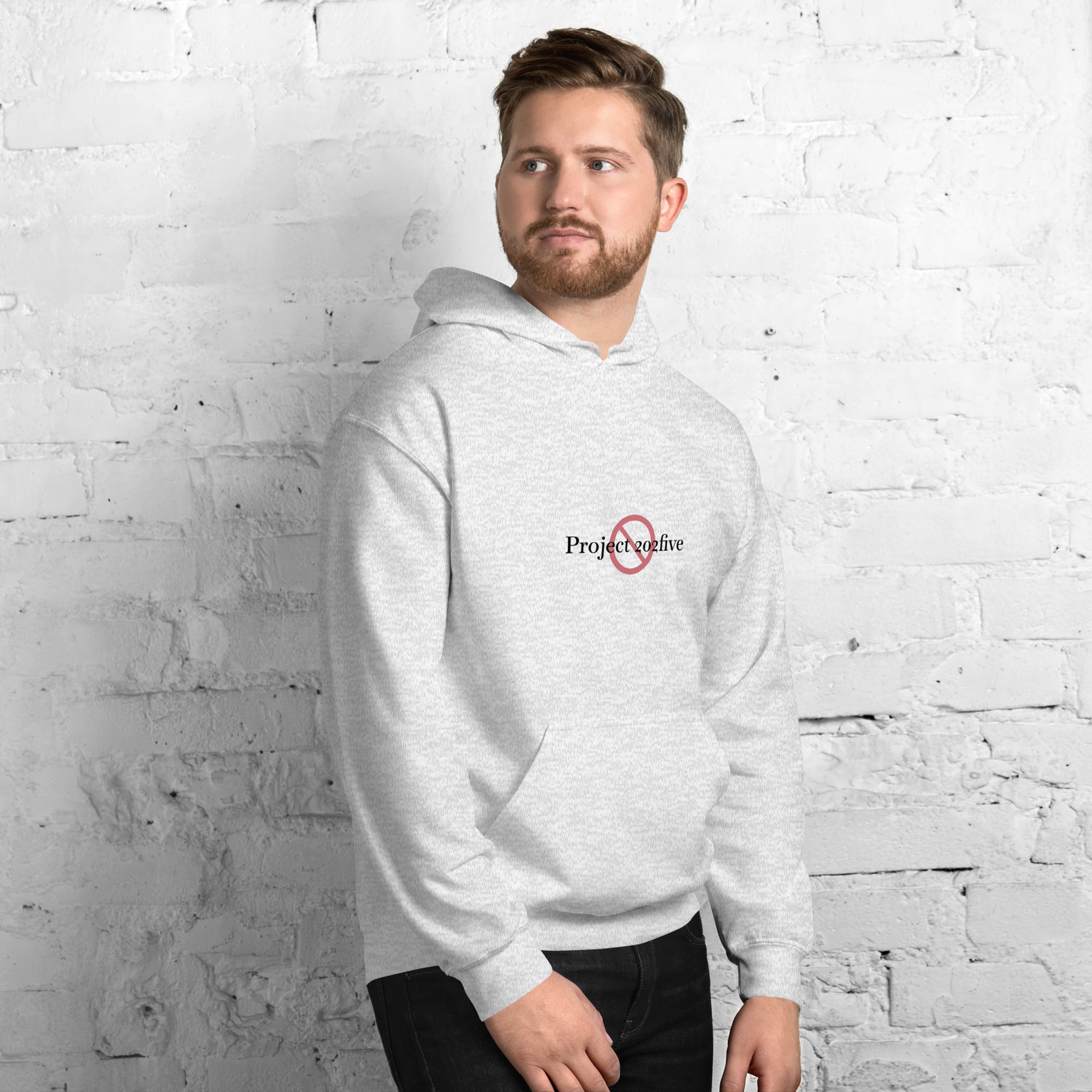 Male model wearing Project 2025 unisex hoodie with printed logo – multiple colors – DETOUR.STORE