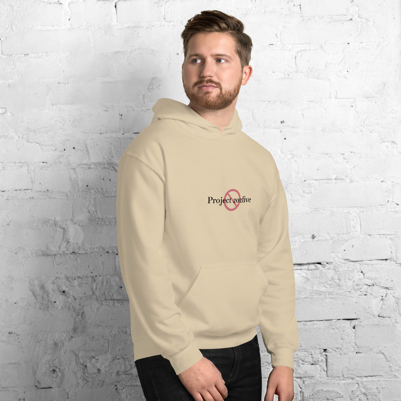 Male model wearing Project 2025 unisex hoodie with printed logo – multiple colors – DETOUR.STORE
