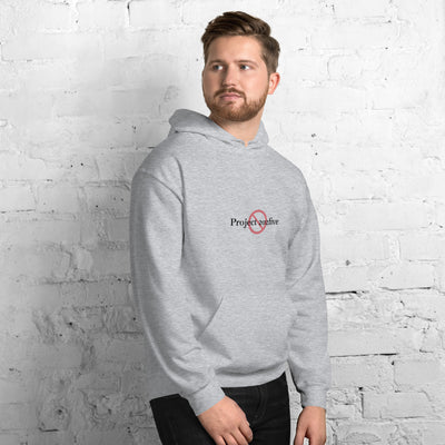 Male model wearing Project 2025 unisex hoodie with printed logo – multiple colors – DETOUR.STORE