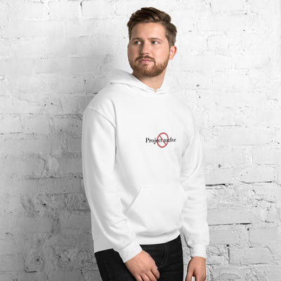 Male model wearing Project 2025 unisex hoodie with printed logo – multiple colors – DETOUR.STORE