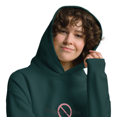 Project 2025 unisex oversized hoodie with printed logo – multiple colors – DETOUR.STORE