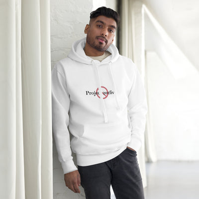 Male model wearing Project 2025 unisex hoodie with printed logo – multiple colors – DETOUR.STORE