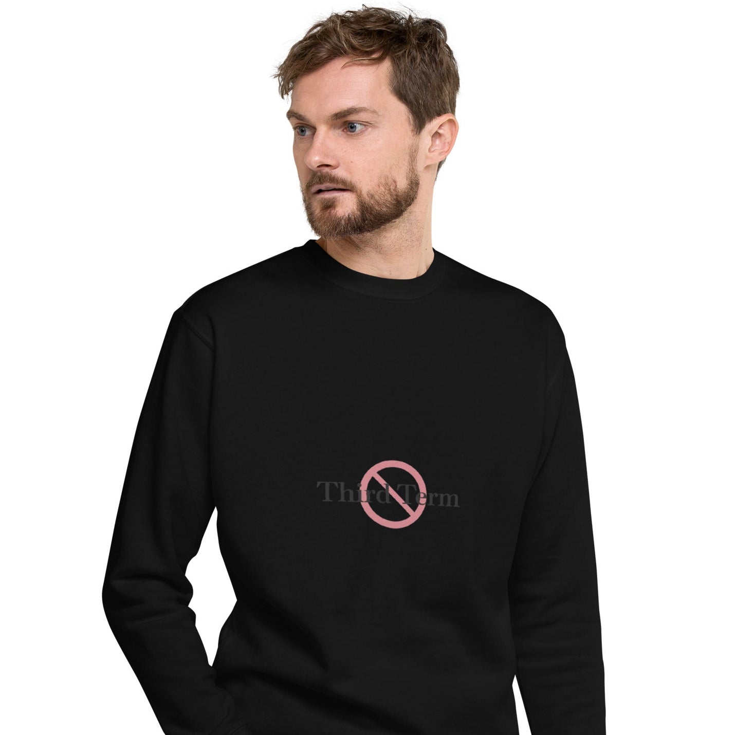 Third Term unisex premium sweatshirt with printed logo – multiple colors – DETOUR.STORE