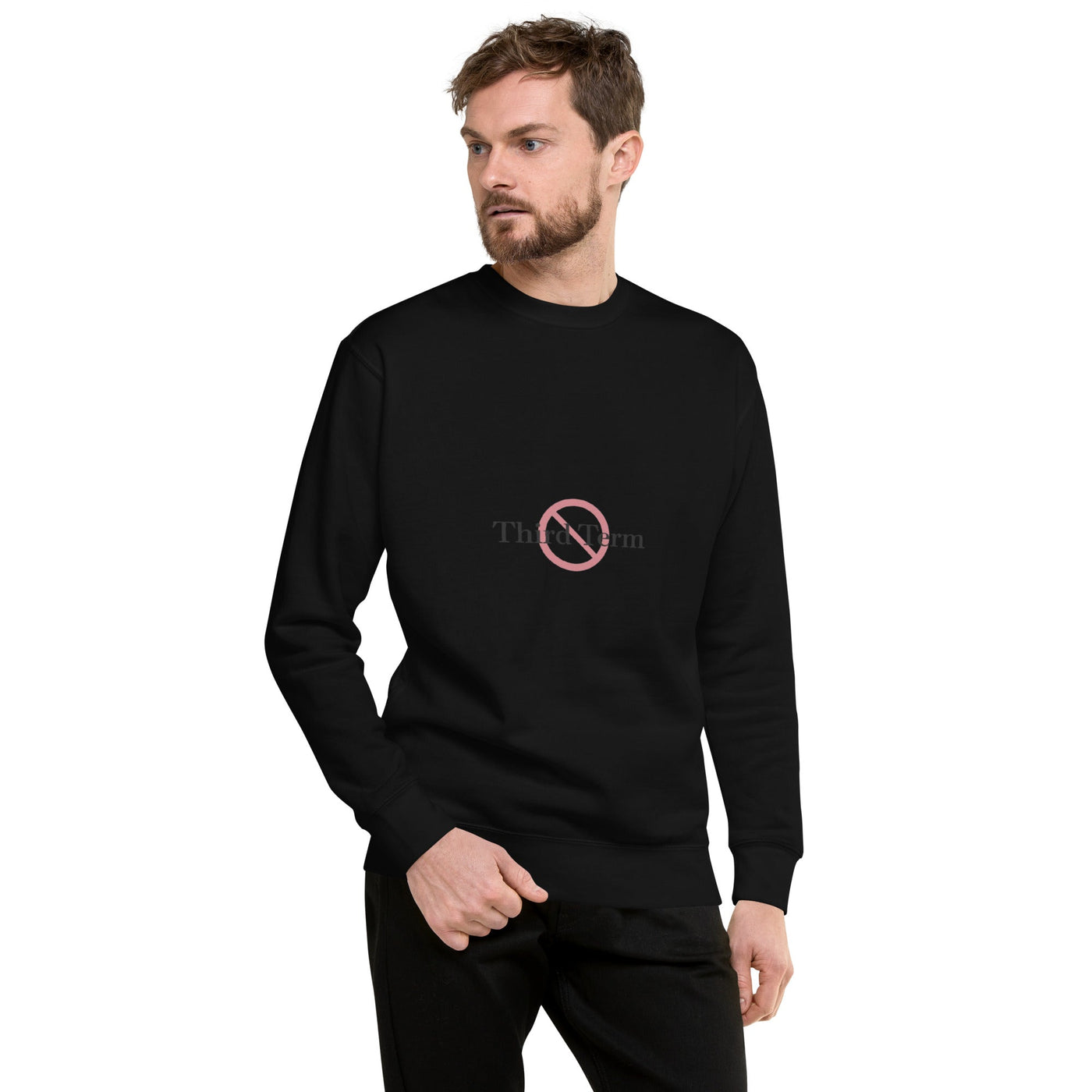 Third Term unisex premium sweatshirt with printed logo – multiple colors – DETOUR.STORE