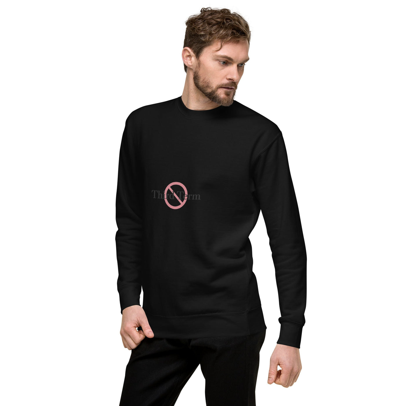 Third Term unisex premium sweatshirt with printed logo – multiple colors – DETOUR.STORE