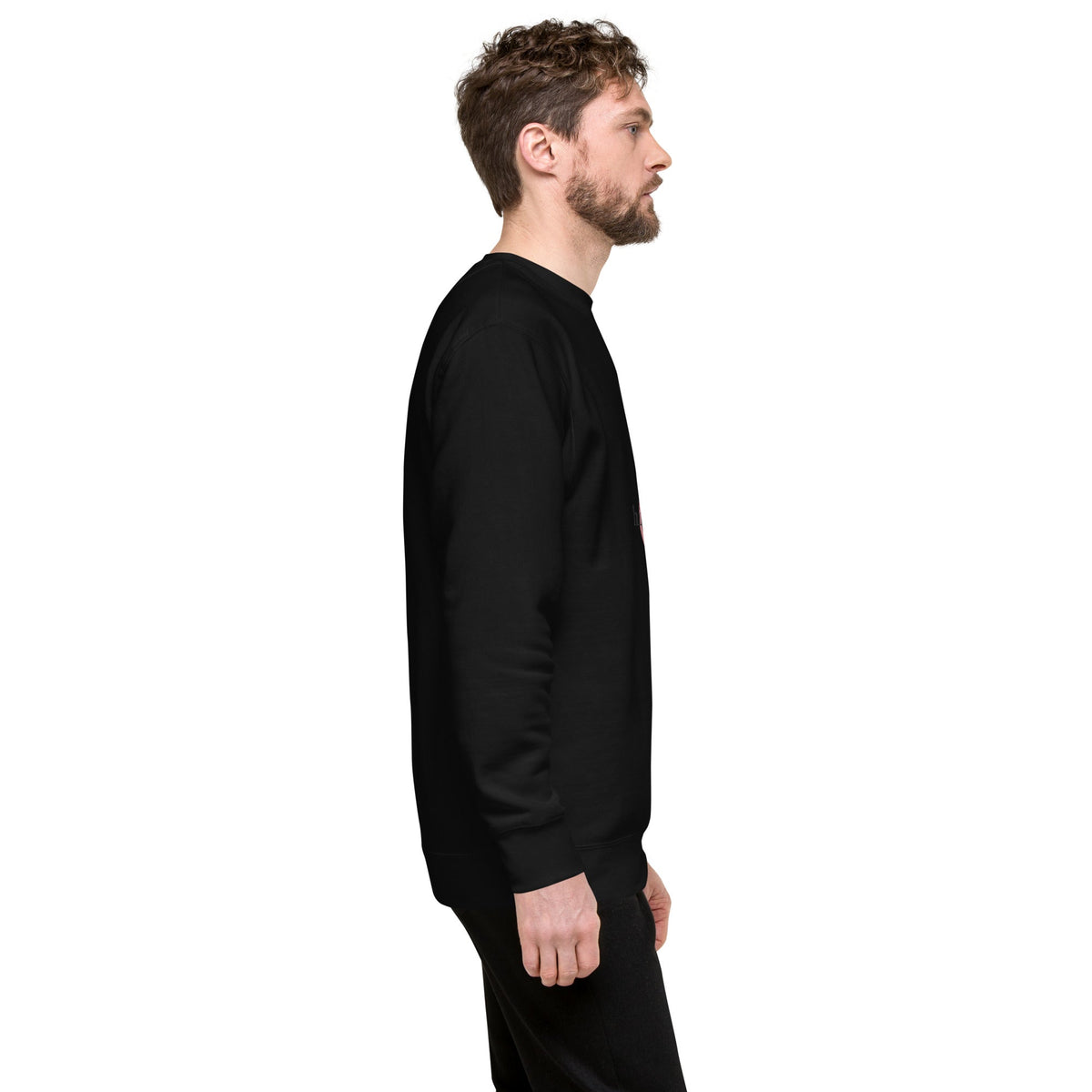 Third Term unisex premium sweatshirt with printed logo – multiple colors – DETOUR.STORE